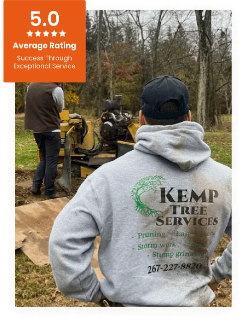 Commercial Tree Service