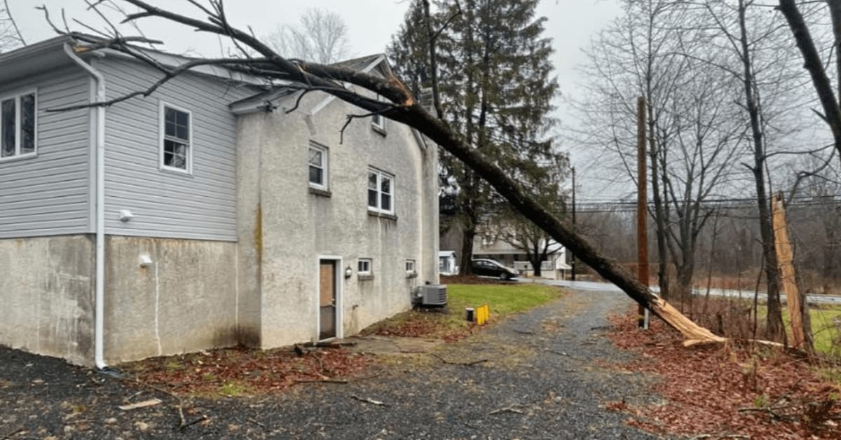 Emergency Tree Services