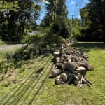 Tree Removal Company