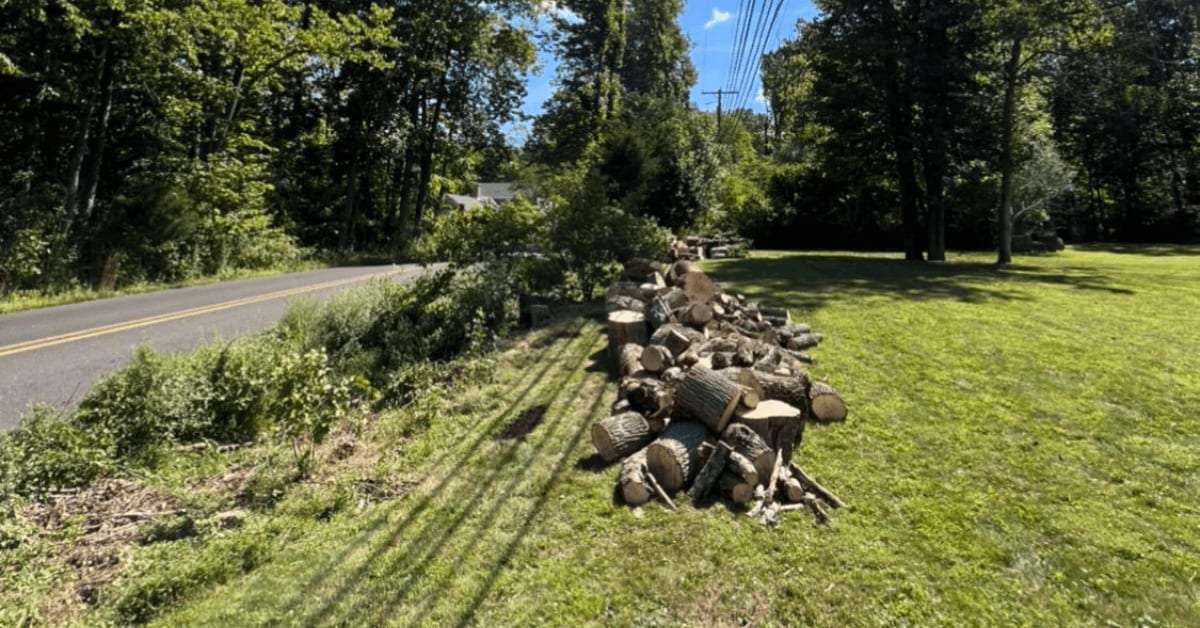Tree Removal Company