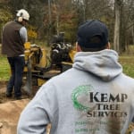 Stump grinding