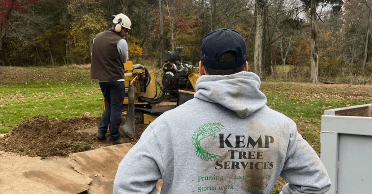 Stump grinding