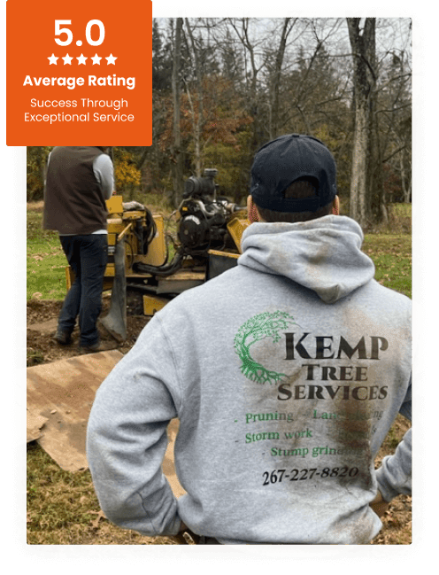 About Kemp Tree Service