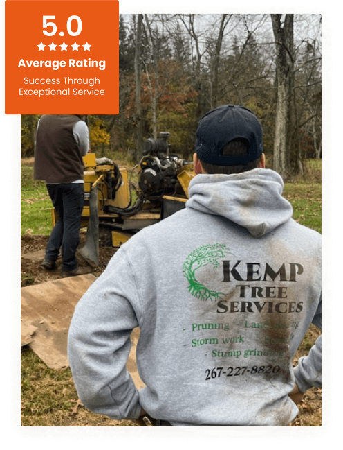 Commercial Tree Service
