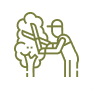 Storm Damage Services